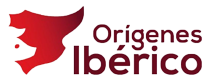 Orígenes ibéricos